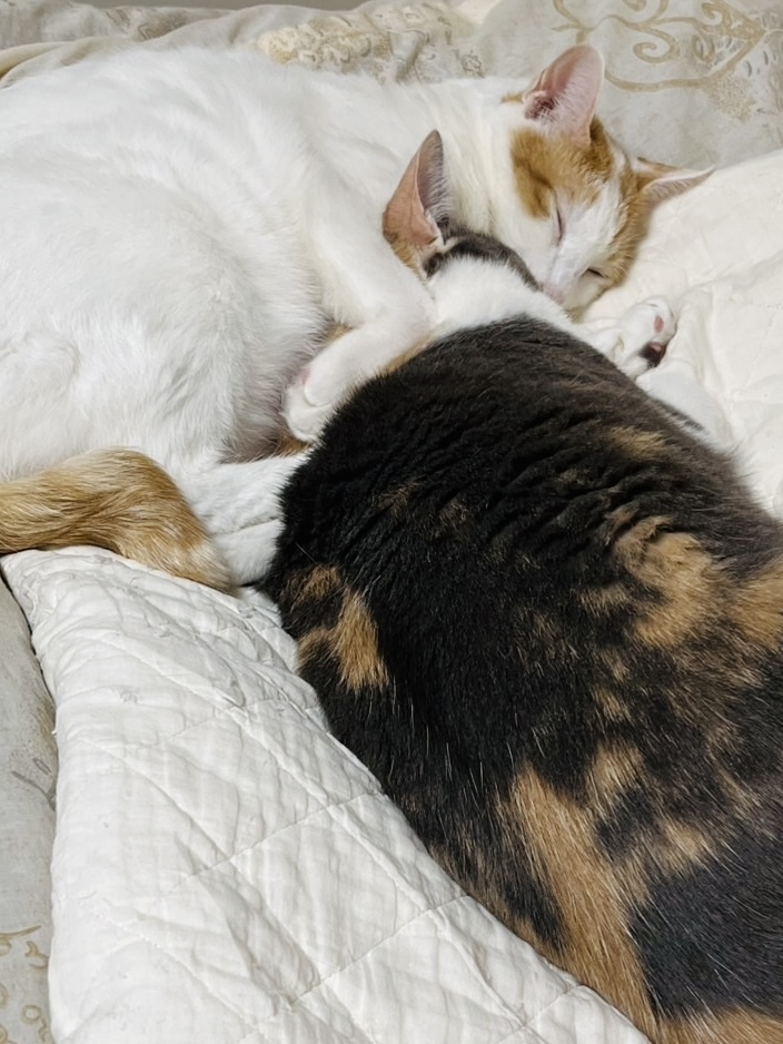 お休み〜遠征へ